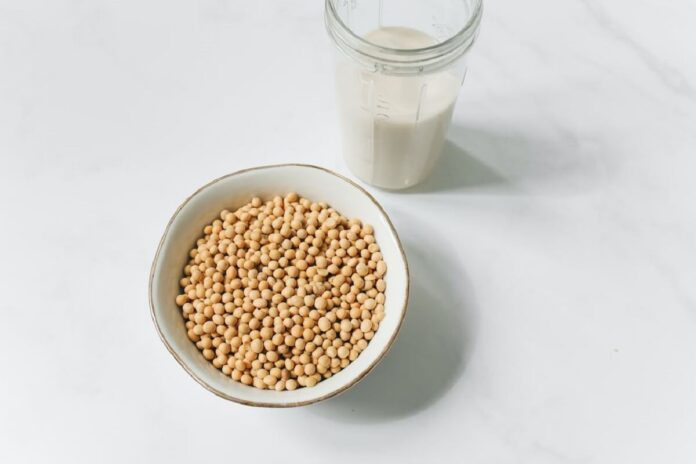 How Consumption Of Soy Products May Reduce The Risk Of Osteoporosis
