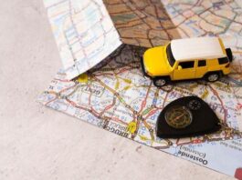 Road Trip Essentials for Traveling in the United States