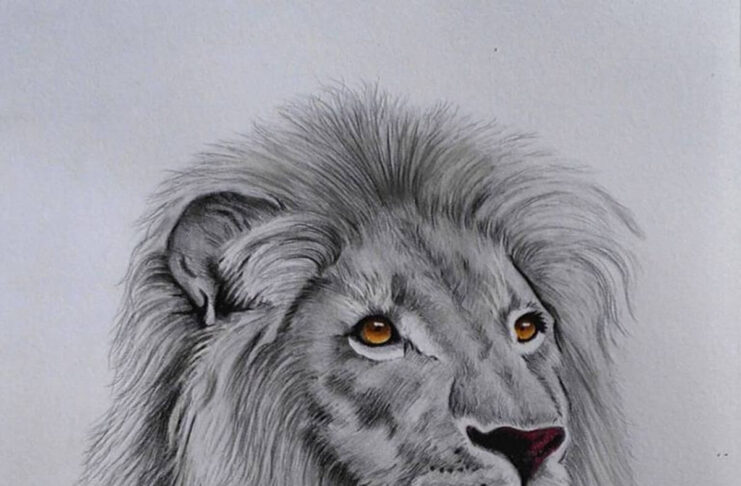 The Art of Lion Drawing: Techniques, Tips, and Inspirations