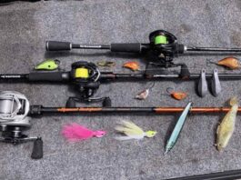 Baitcaster Rod or Bass Fishing Rod What’s the Better Pick